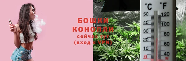 индика Балабаново