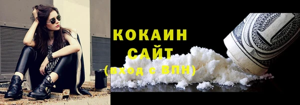 индика Балабаново
