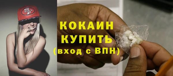 индика Балабаново