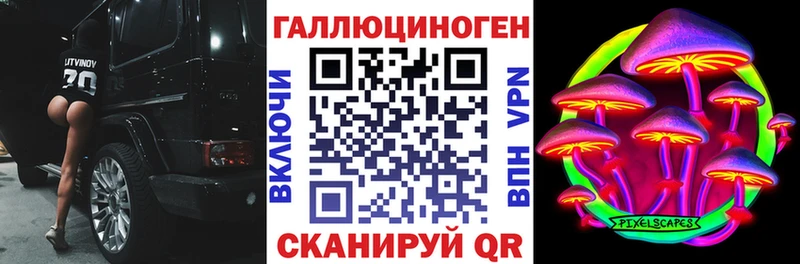 дарнет шоп  Талица  Псилоцибиновые грибы MAGIC MUSHROOMS 